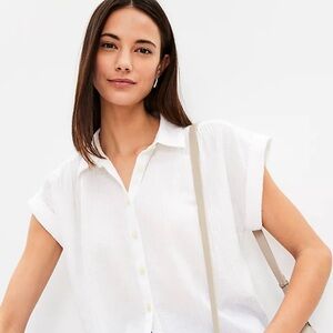LOFT Crinkle Dolman Shirt